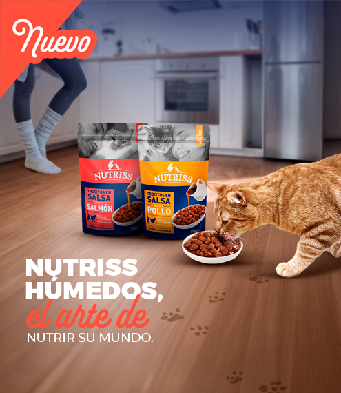 Nutriss nuevo alimento humedo para felinos